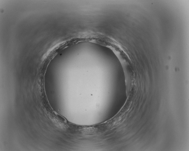 X0000072961304200608111641