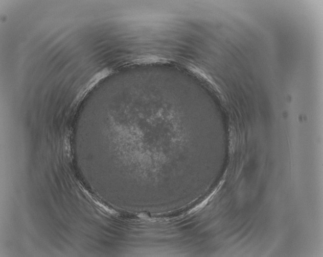 X0000072961305200608111641