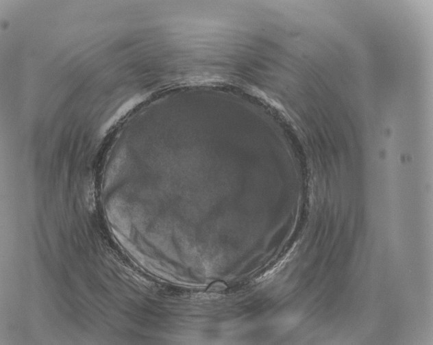 X0000072961306200608111641