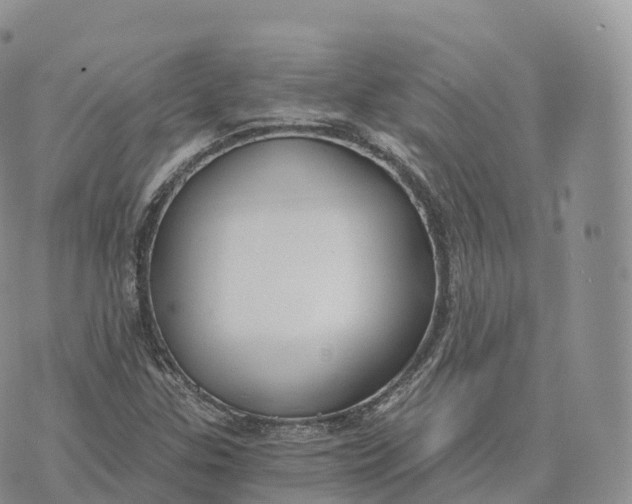 X0000072961307200608111641