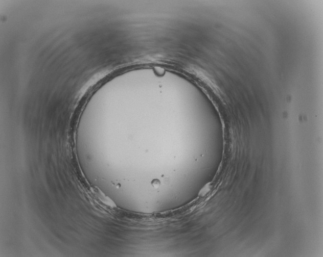 X0000072961308200608111641