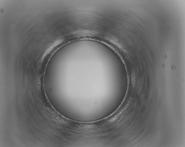 X0000072961309200608111641