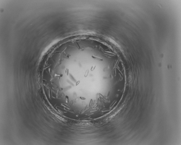 X0000072961310200608111641