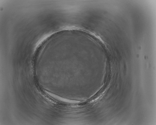 X0000072961311200608111641