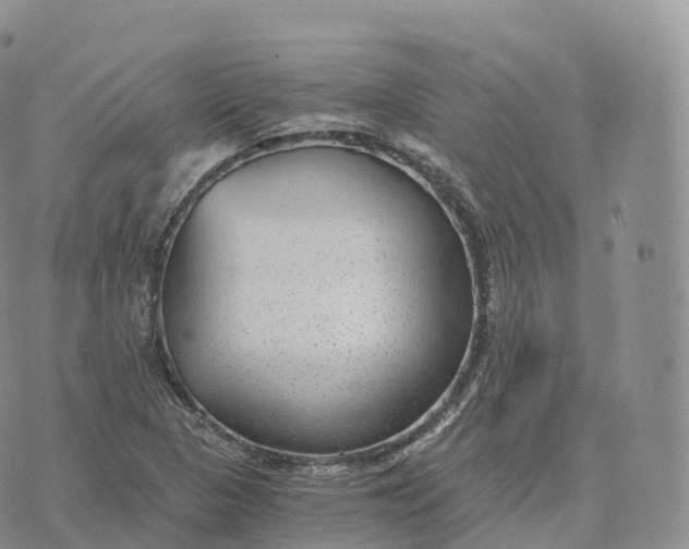 X0000072961313200608111641