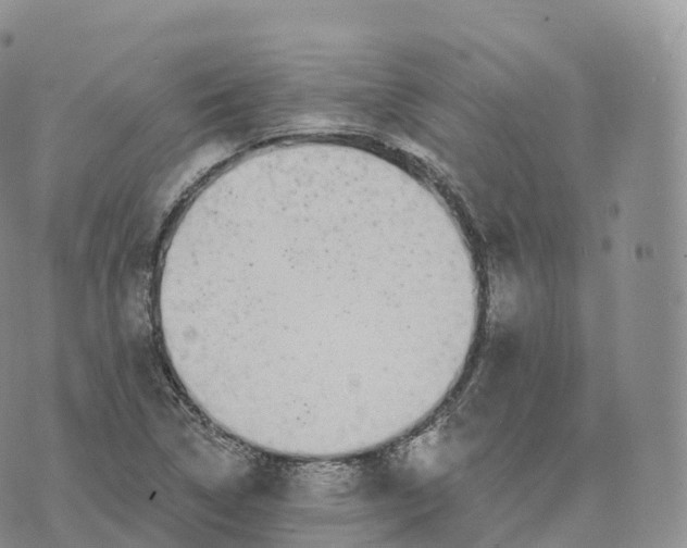 X0000072961314200608111641