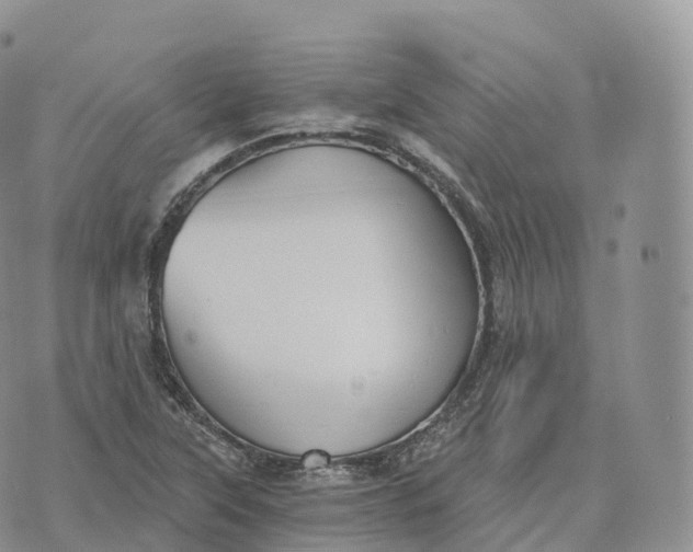 X0000072961315200608111641