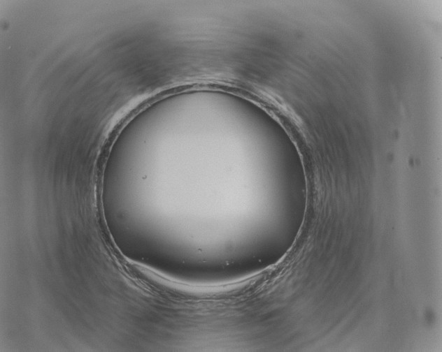 X0000072961316200608111641