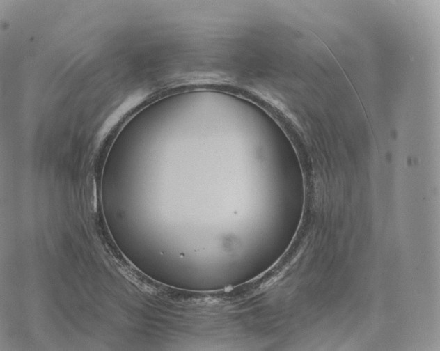 X0000072961317200608111641