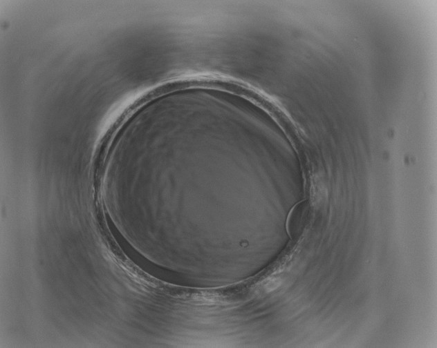 X0000072961319200608111641