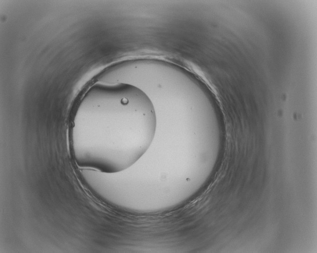 X0000072961320200608111641