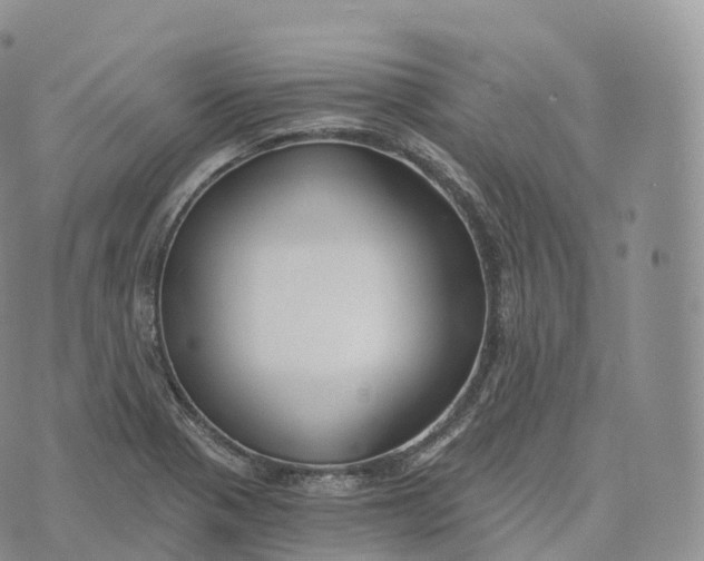 X0000072961321200608111641