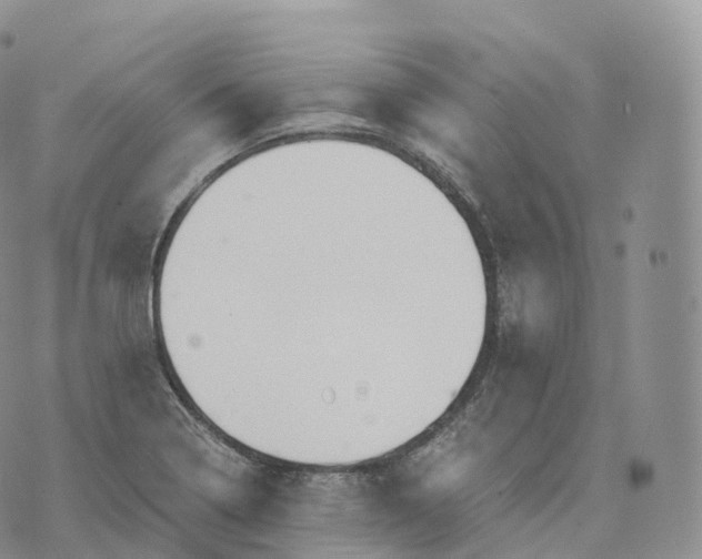 X0000072961322200608111641