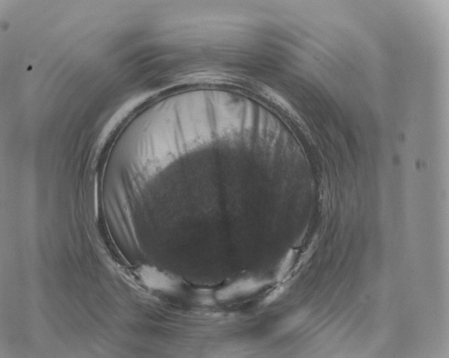 X0000072961323200608111641