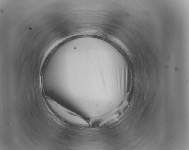 X0000072961324200608111641