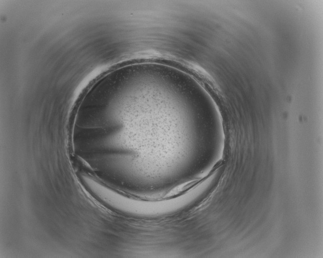 X0000072961326200608111641