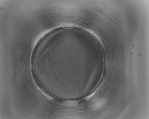 X0000072961327200608111641