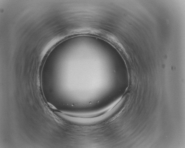 X0000072961328200608111641