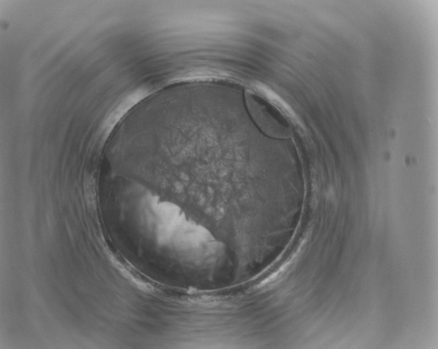 X0000072961329200608111641