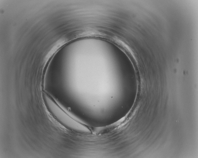 X0000072961330200608111641