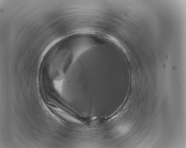 X0000072961331200608111641