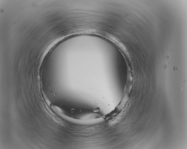 X0000072961332200608111641