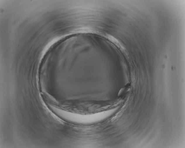 X0000072961334200608111641