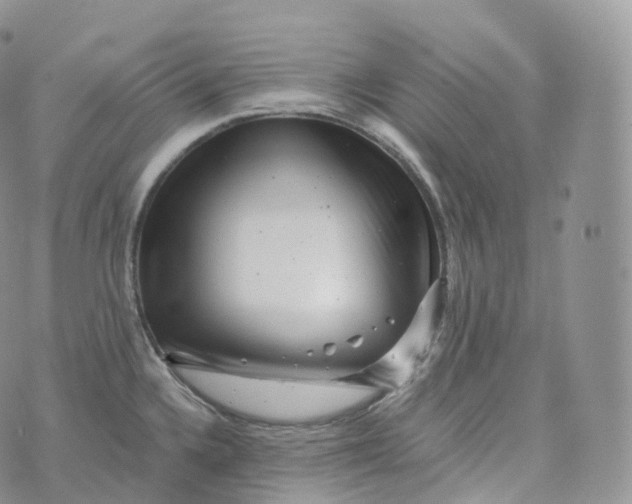 X0000072961336200608111641