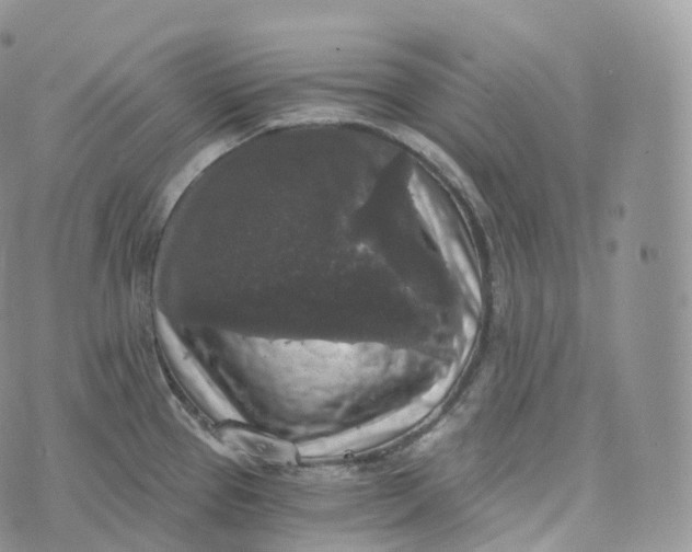 X0000072961337200608111641