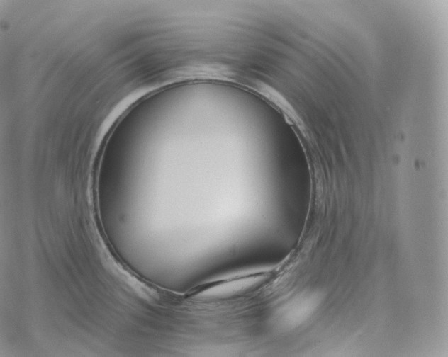 X0000072961339200608111641