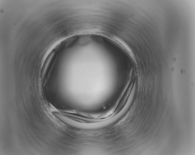 X0000072961340200608111641