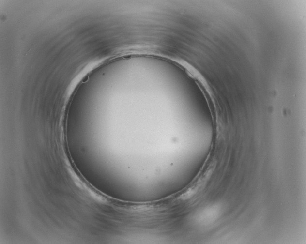 X0000072961341200608111641