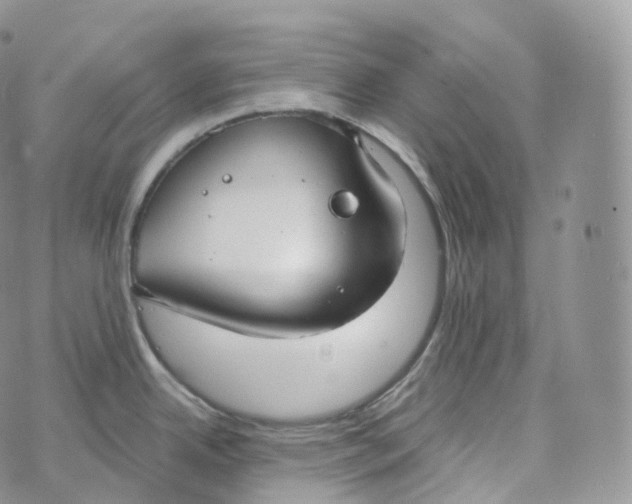 X0000072961342200608111641