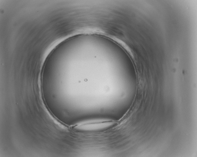 X0000072961343200608111641