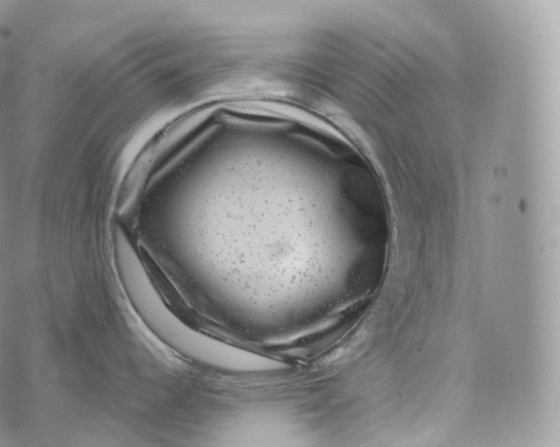 X0000072961344200608111641