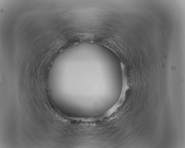 X0000072961345200608111641