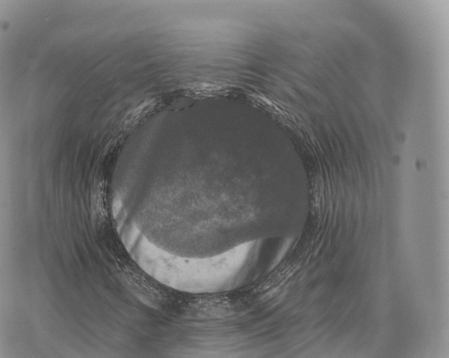 X0000072961346200608111640