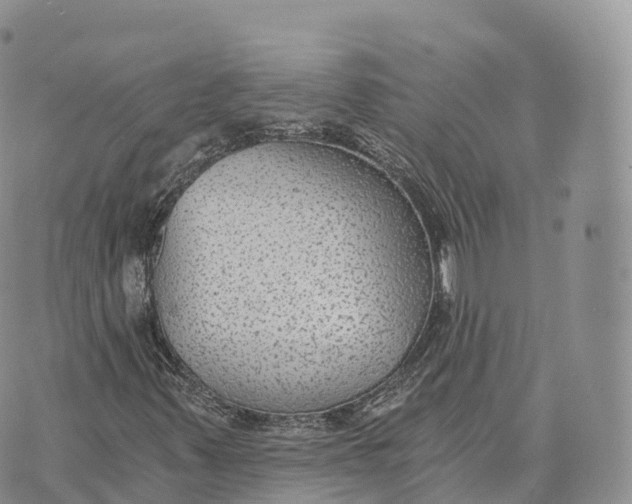 X0000072961347200608111640