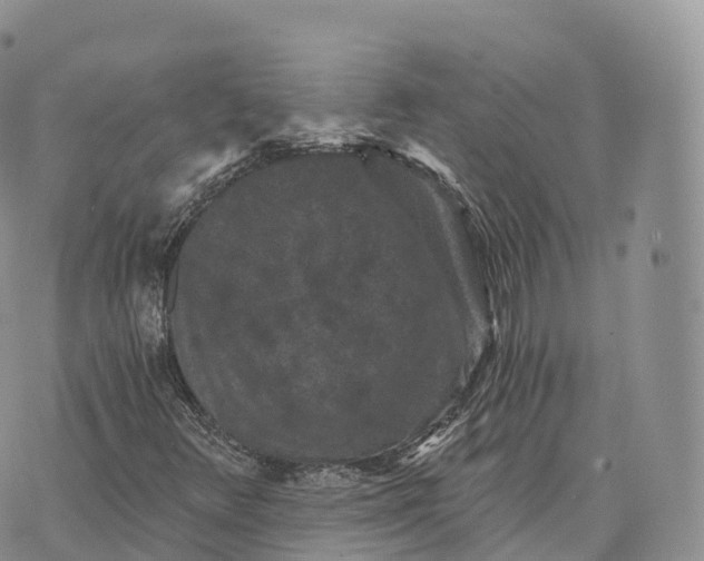 X0000072961348200608111640