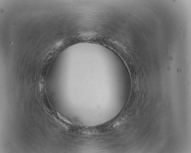 X0000072961349200608111640