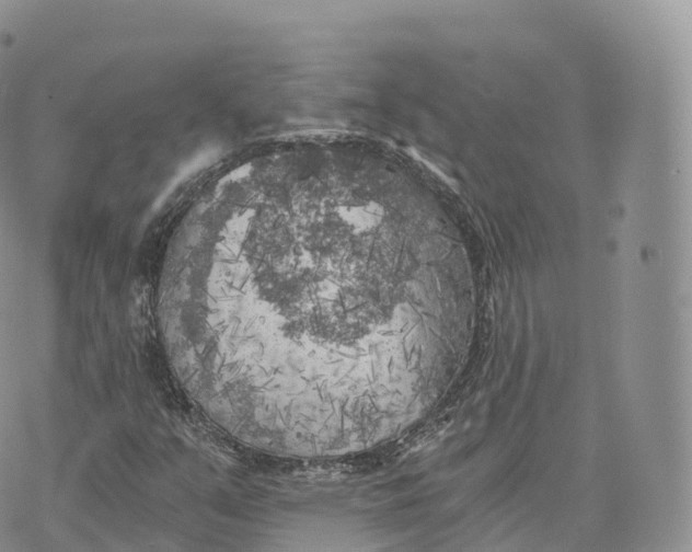 X0000072961351200608111640