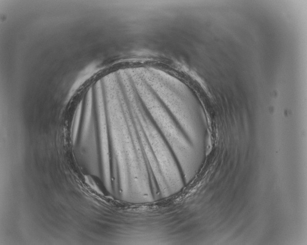 X0000072961352200608111640