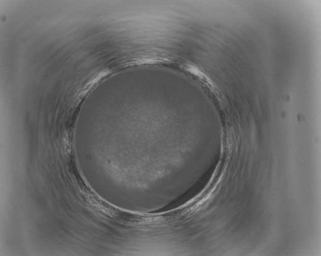 X0000072961353200608111640