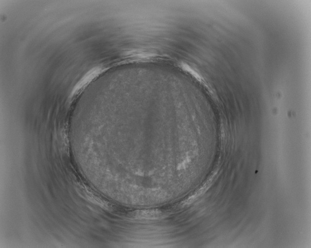 X0000072961354200608111640