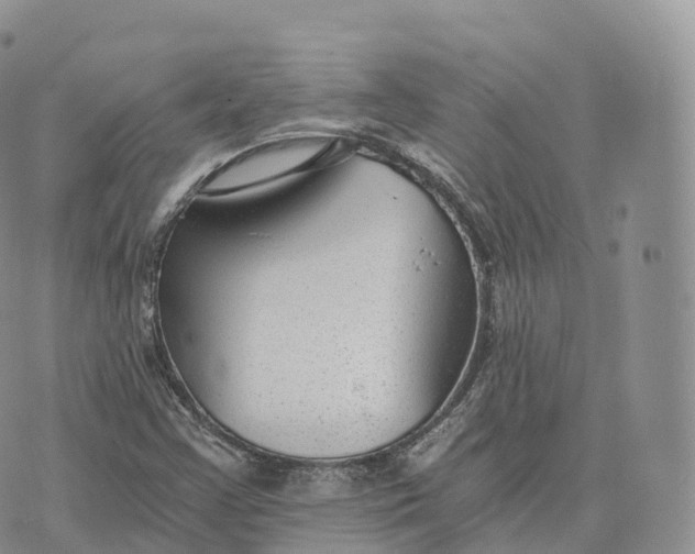 X0000072961355200608111640