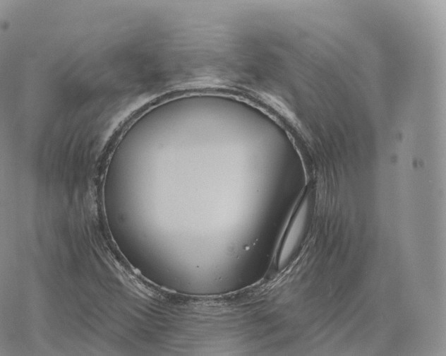 X0000072961356200608111640