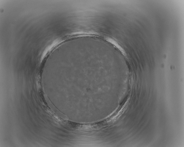 X0000072961357200608111640