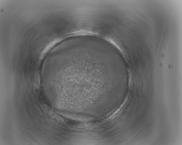 X0000072961358200608111640