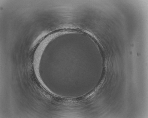 X0000072961359200608111640