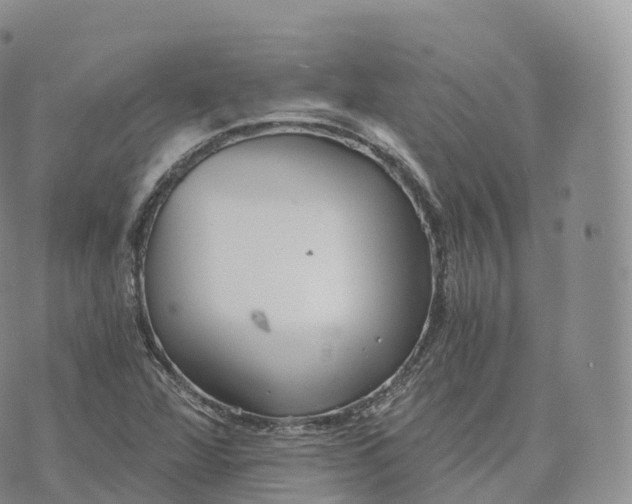 X0000072961360200608111640